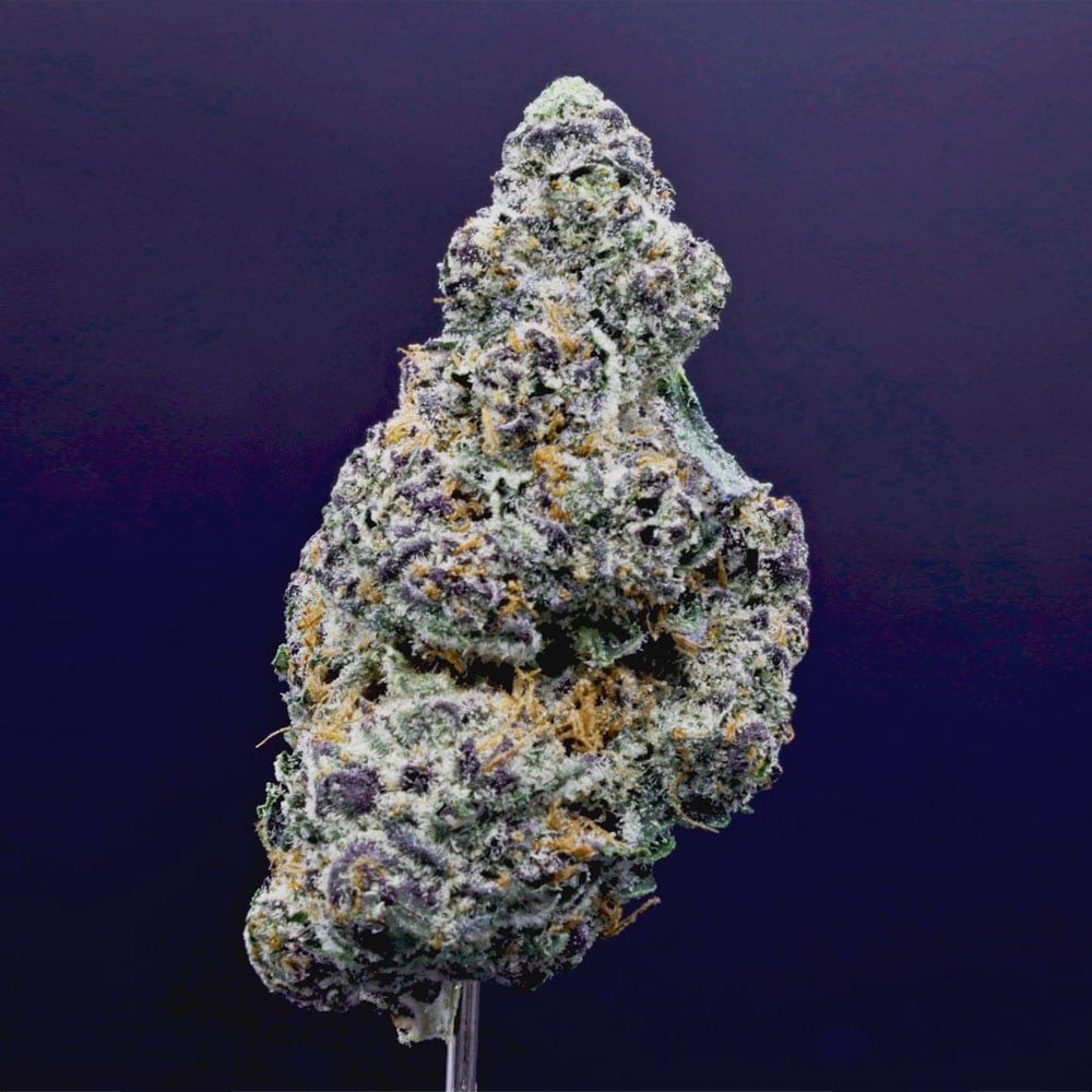 NORTHERN HEIGHTS - FRITTER GLITTER #15 - FLOWER - 3.5G