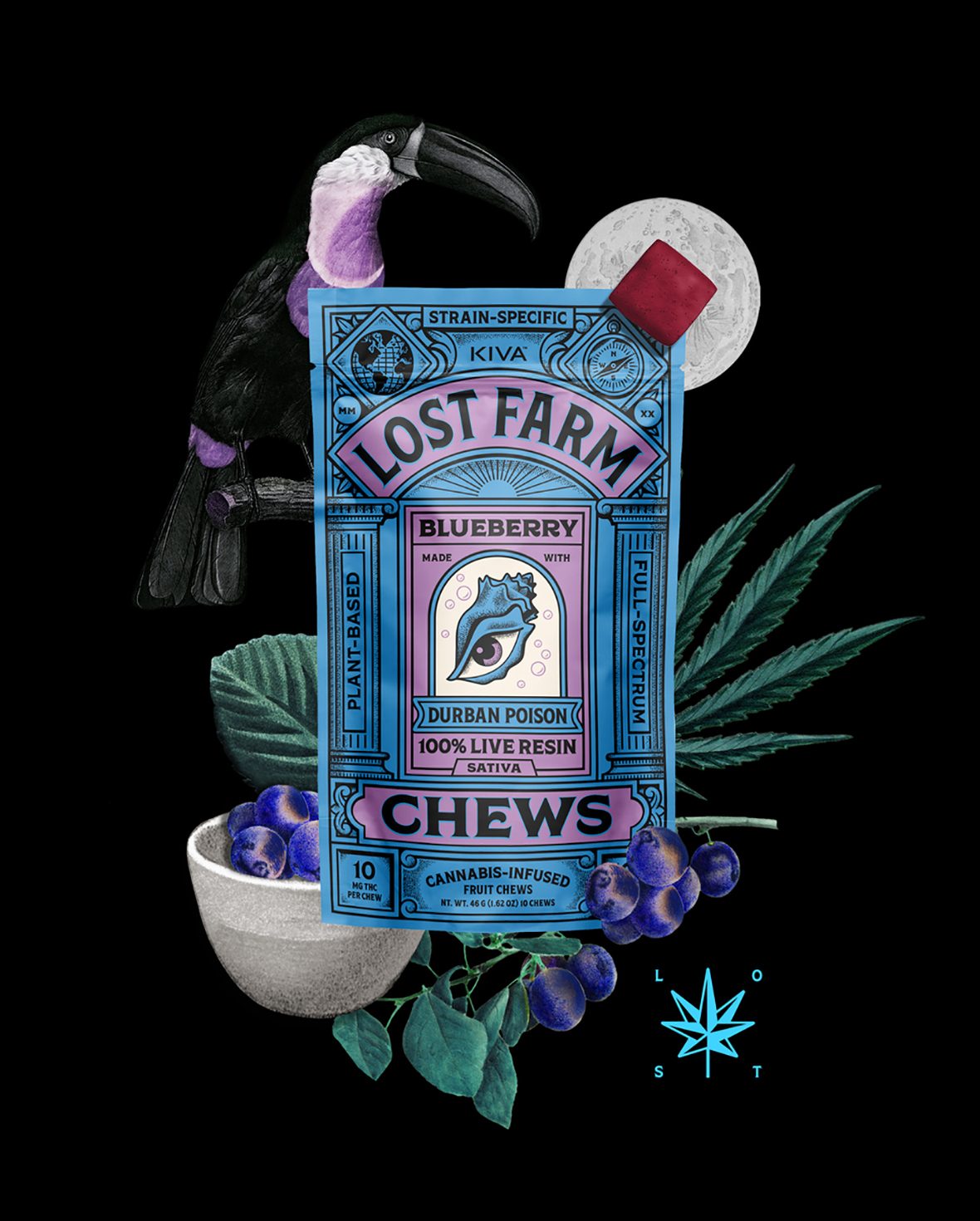 BLUEBERRY LIVE RESIN - FRUIT CHEWS - 10PK - 100MG