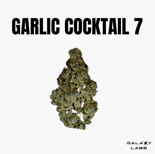 Garlic Cocktail 7 - Flower - 28G