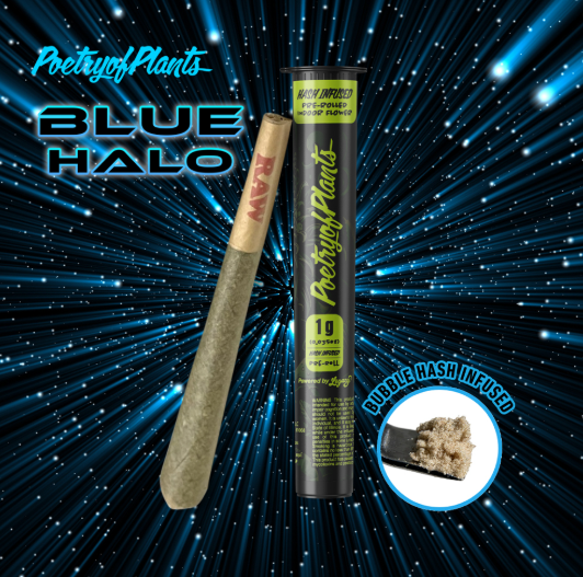 Blue Halo - Hash Infused Preroll - 1G