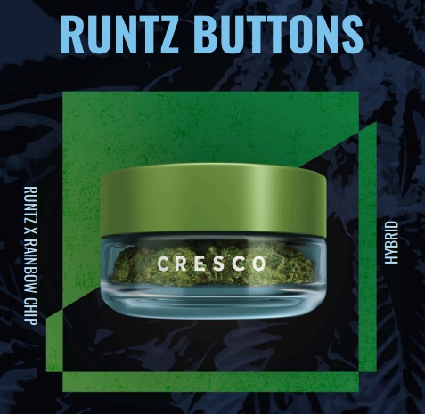 RUNTZ BUTTONS - FLOWER - 3.5G