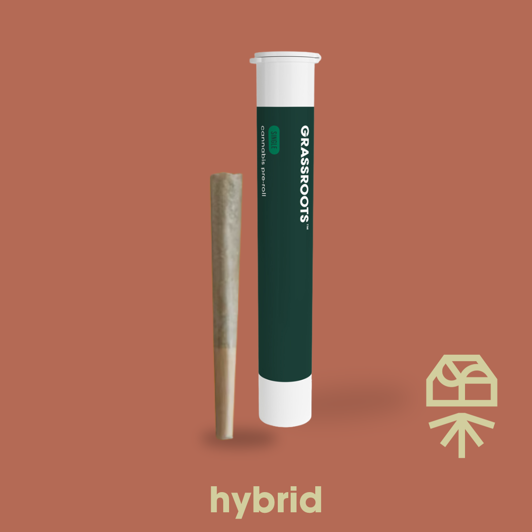 GRASSROOTS - TITAN EXPRESS - SINGLE PREROLL