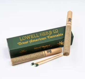 Mind Safari Blend - 2PK Preroll - 1.16G