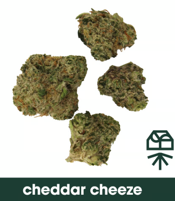 Cheddar Cheese - Flower - 3.5G