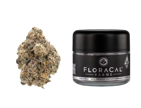 FLORACAL FARMS - LA LA LAND - FLOWER - 3.5G