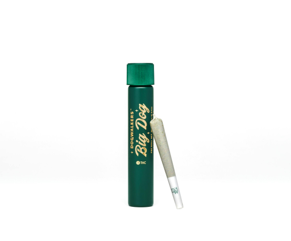 GTI - DOGWALKERS - DURBAN Z - SINGLE PREROLL - 0.75G - 0.75 g