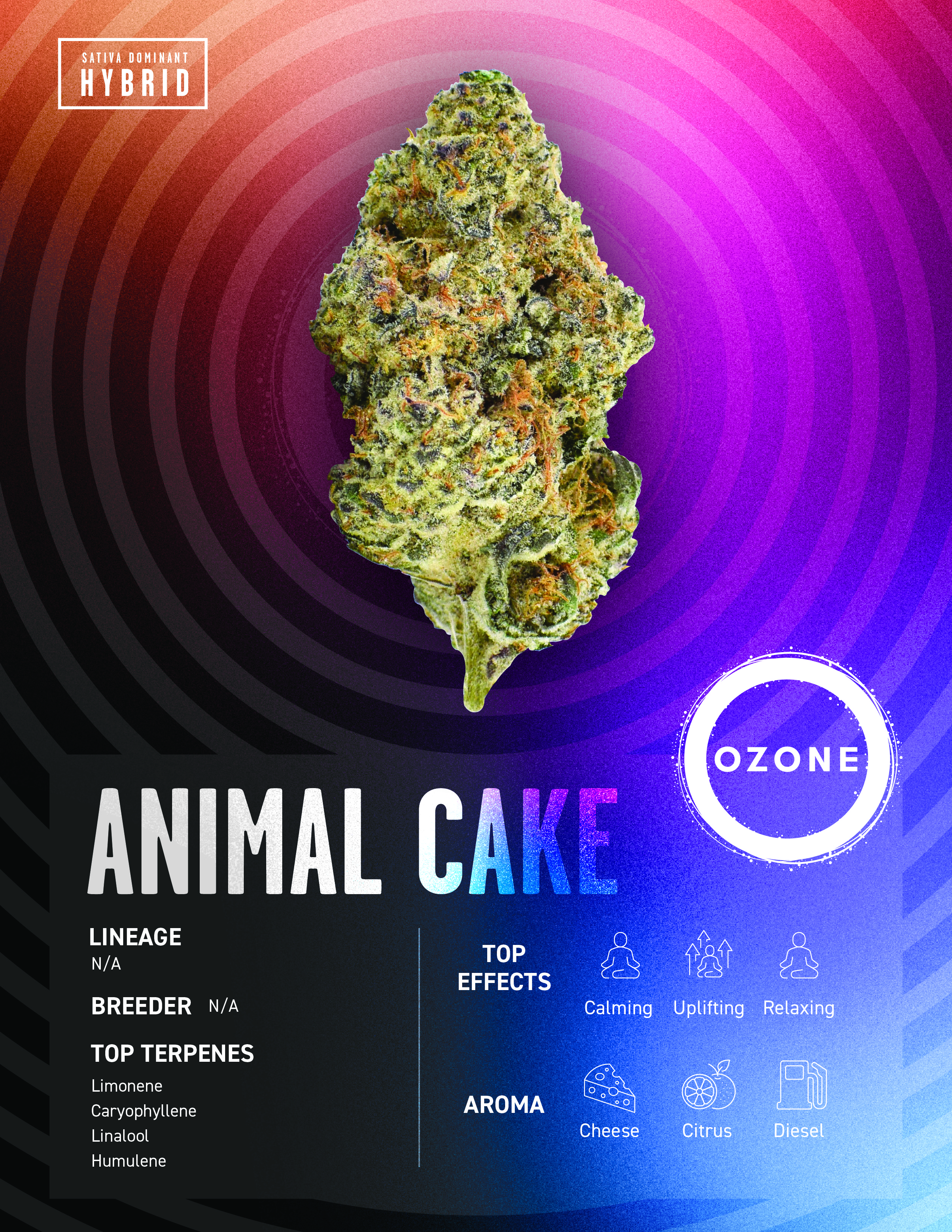 ANIMAL CAKE - POPCORN - 14G