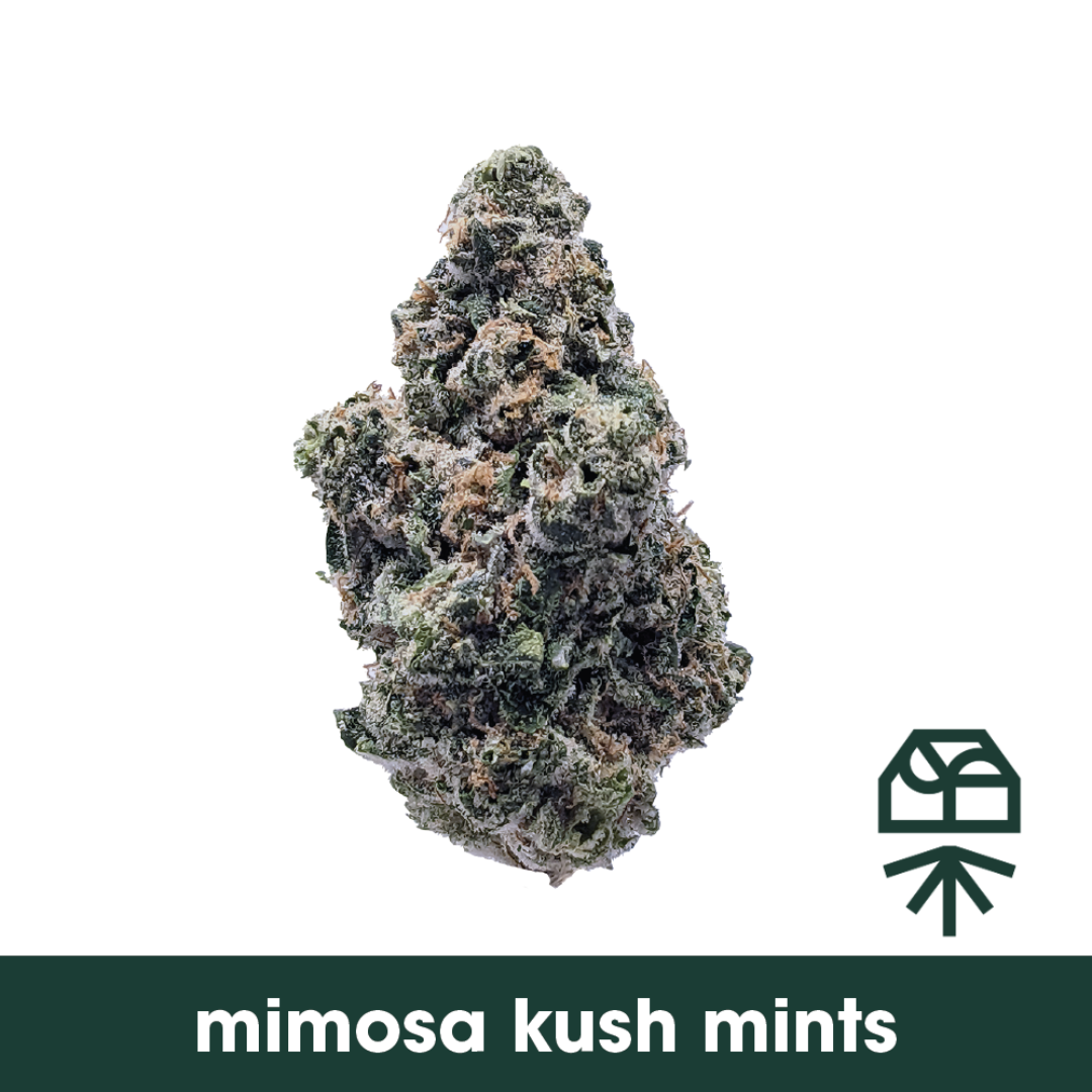 Mimosa Kush Mints - Flower - 14G