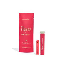 GN STRAWBERRY BANANZA - AIO - 0.5G