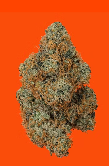 SWEET STING - FLOWER - 3.5G