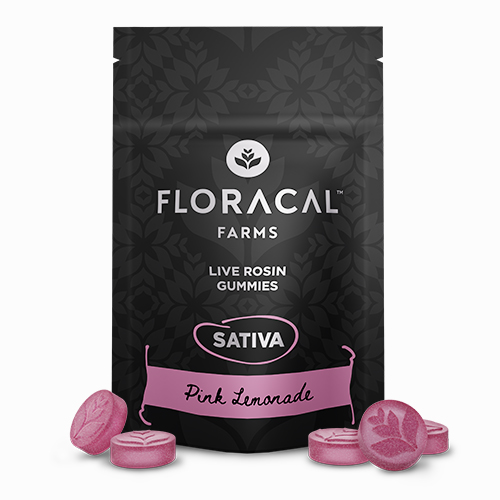 TROPICAL PUNCH - GUMMIES - 100MG - 10PK
