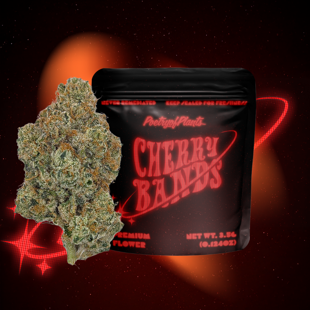 CHERRY BANDS - FLOWER - 3.5G