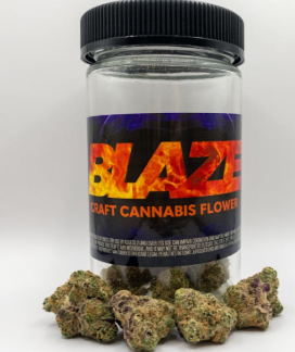 Black Cherry Punch x Tropicana Cookies - Flower - 7g