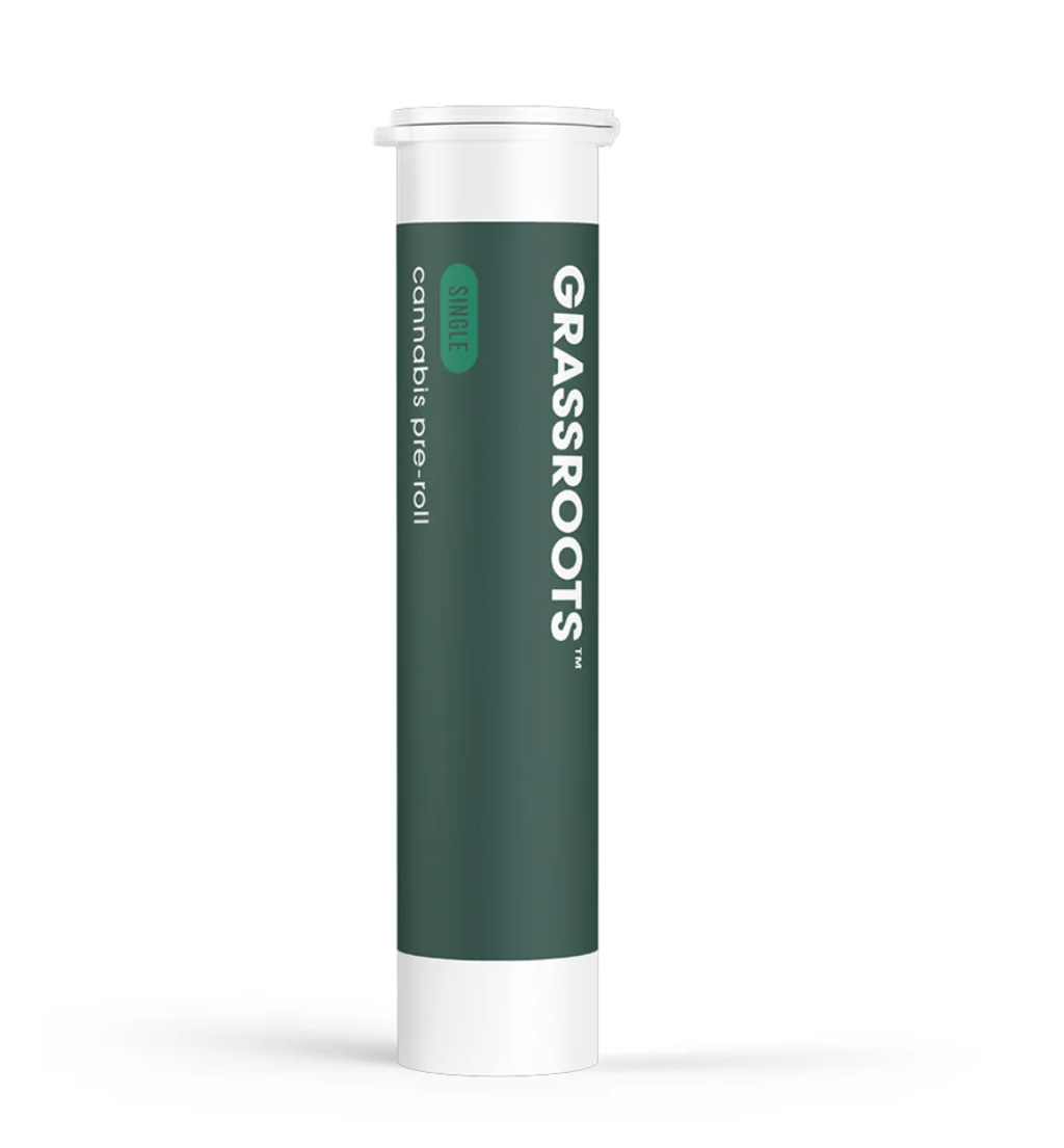 JORDANZ - SINGLE PREROLL - 1G