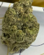 TOASTED RAVIOLI - FLOWER - 3.5G
