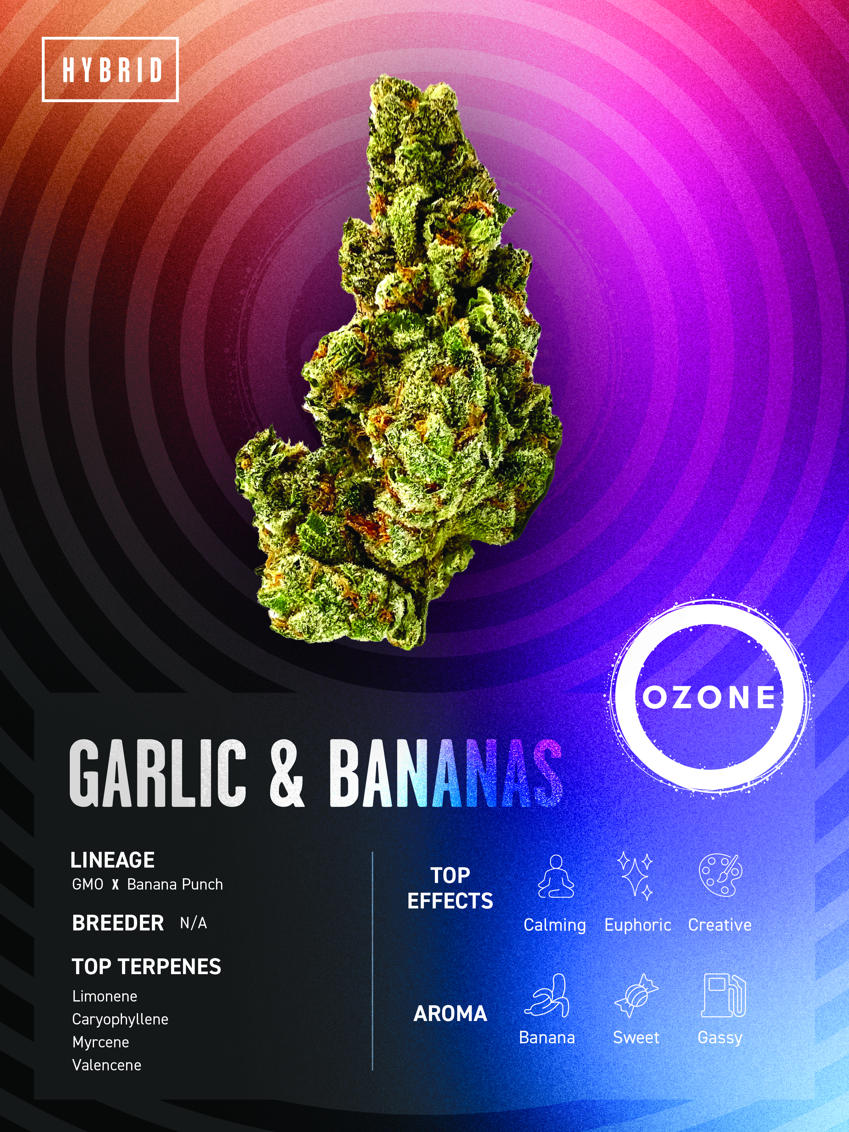 Garlic and Bananas - Popcorn - 28G