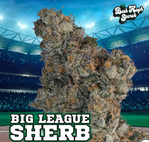BEST KEPT SECRETS - BIG LEAGUE SHERB #4 - FLOWER - 3.5G