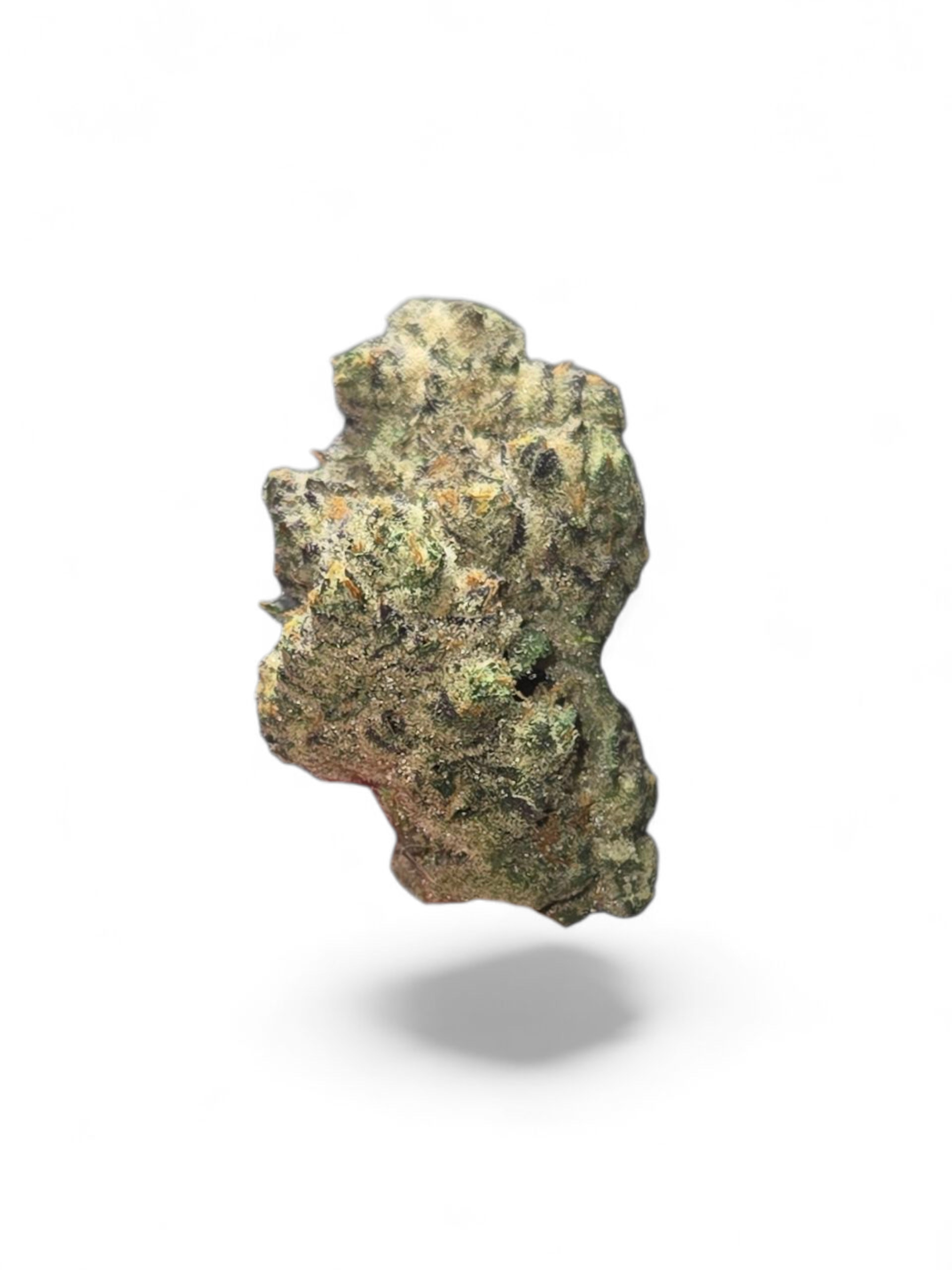 Jungle Sunset - 28G - Flower