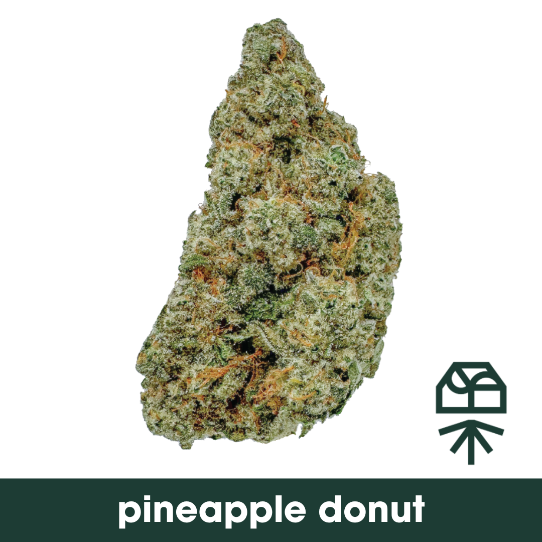 GRASSROOTS - PINEAPPLE DONUT - POPCORN - 14G