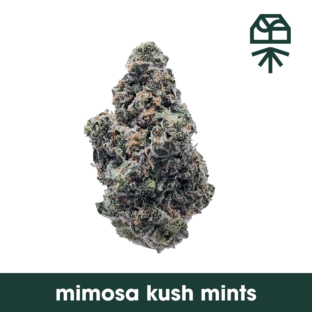 MIMOSA KUSH MINTS - FLOWER - 3.5G