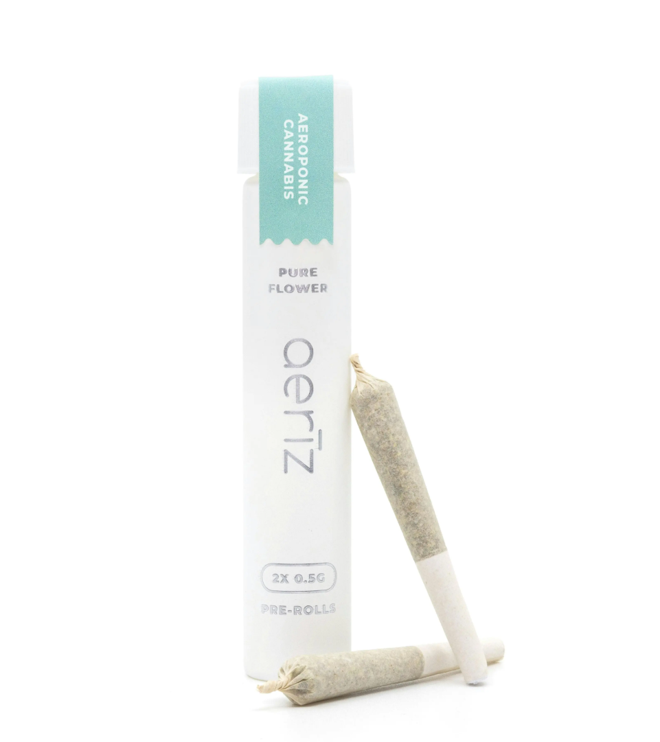 JENNY KUSH - MULTI 2PK PREROLLS - 1G