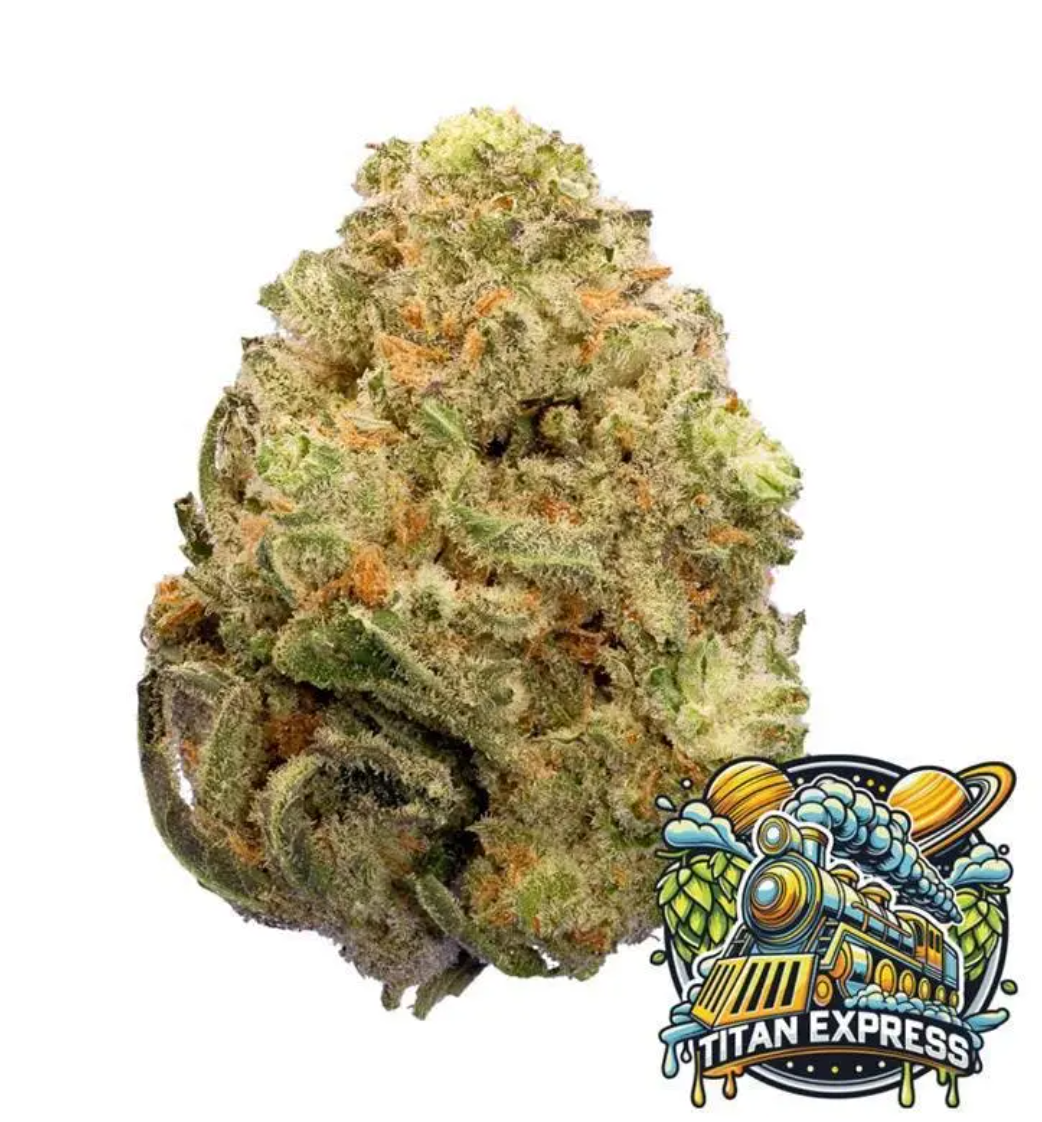 Titan Express - Flower - 7G