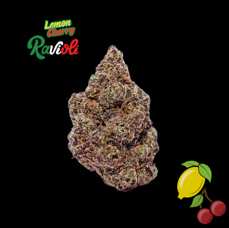 FLORA CRAFT - RAVIOLI - LEMON CHERRY RAVIOLI - FLOWER - 3.5G