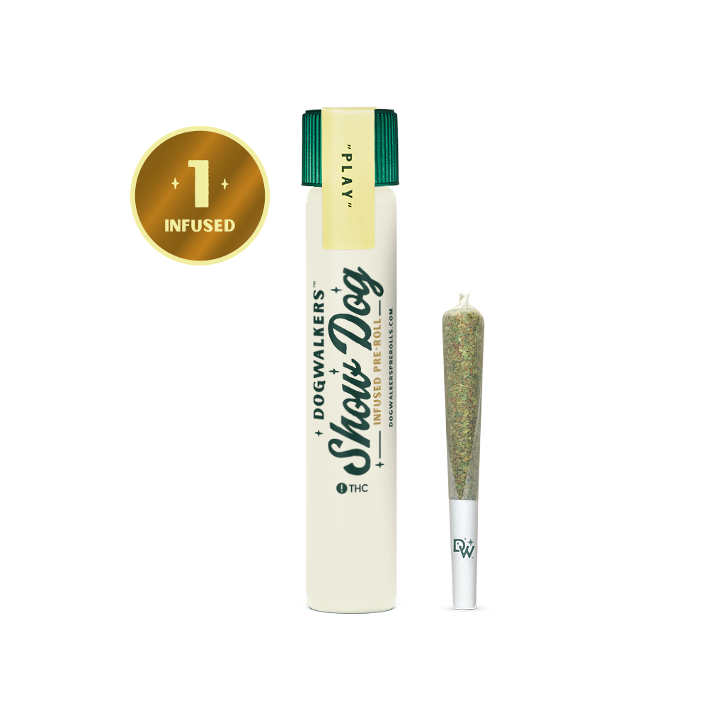 Jack Herer - Infused Single Preroll - 1g