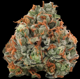 Casey Jones - Popcorn - 28G