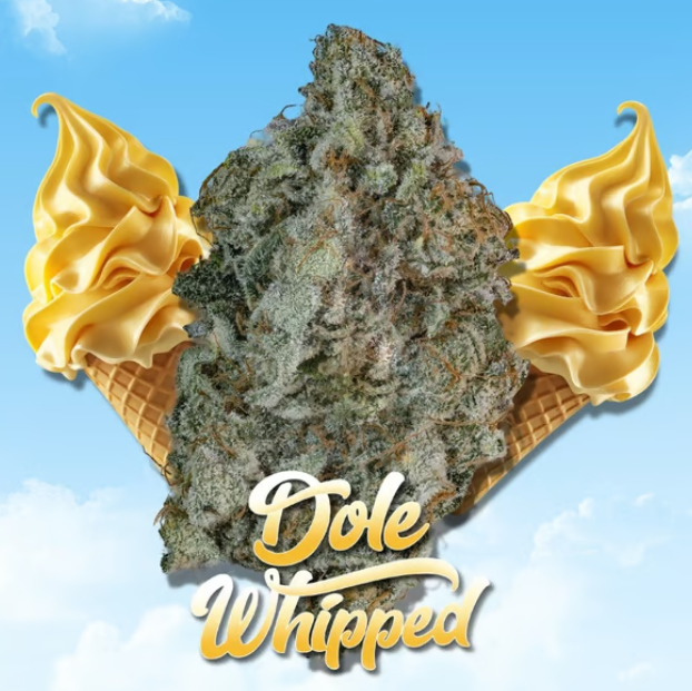 DOLE WHIPPED #1 - SHAKE - 7G