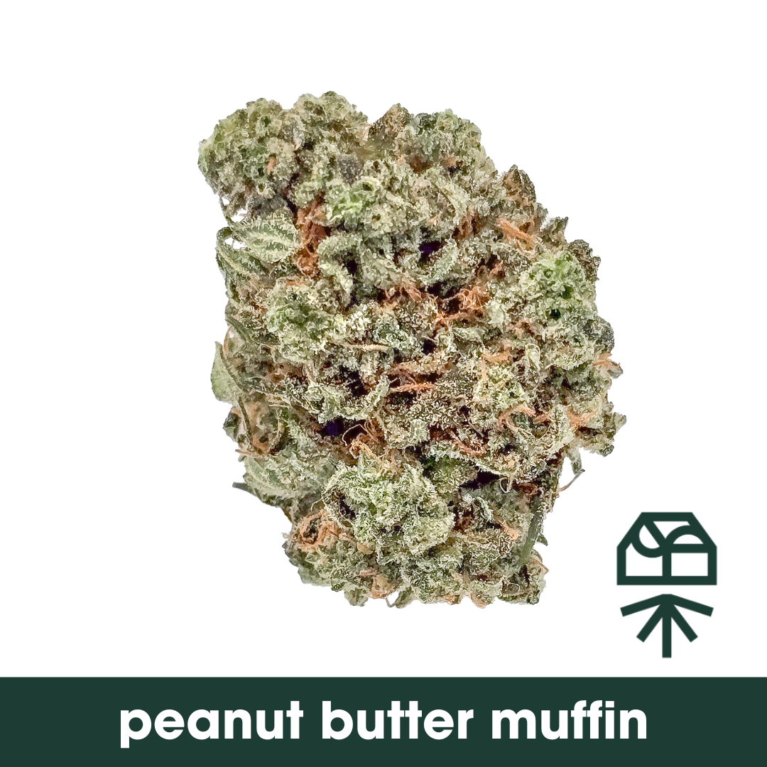 Peanut Butter Muffin - Popcorn - 7G