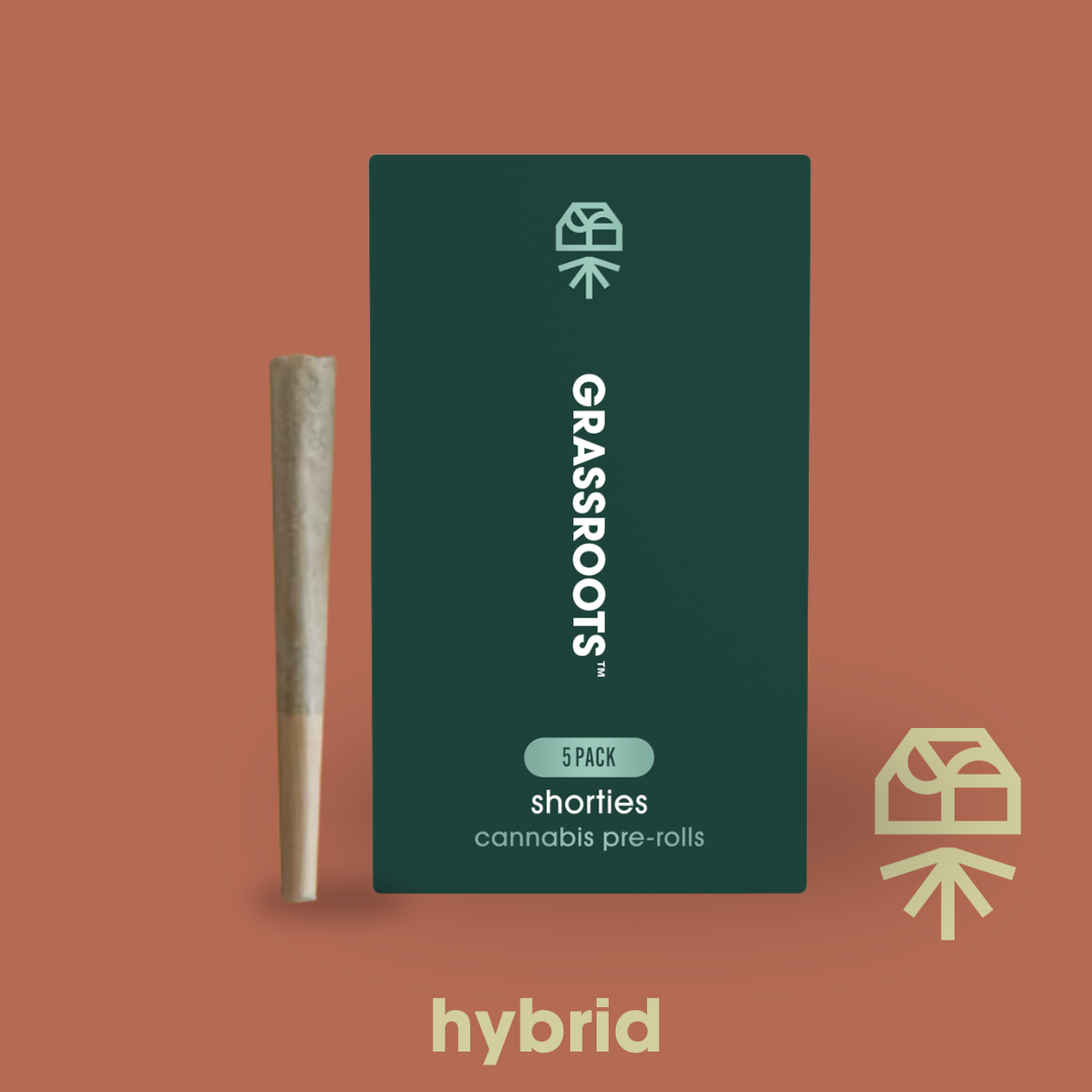 Dosido Sherbet - Multi 5PK - 2G