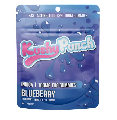 BLUEBERRY - FULL SPECTRUM GUMMIES - 10PK - 100MG