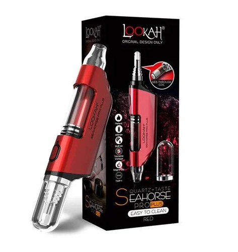 SEAHORSE 2 - RED