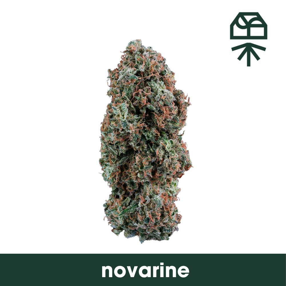 Novarine - Flower - 4.5G