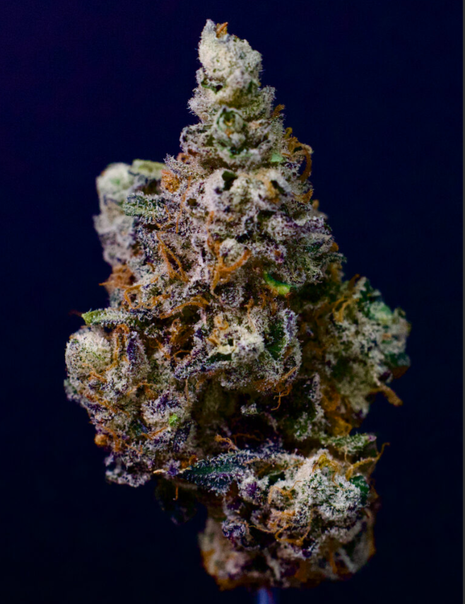 NORTHERN HEIGHTS - KSMORZ - FLOWER - 3.5G