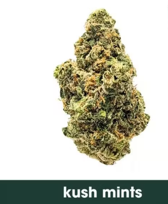 GRASSROOTS - KUSH MINTS - FLOWER - 4.5G