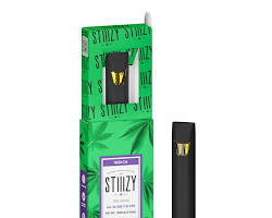 STIIIZY WATERMELON Z 1G DISPOSABLE