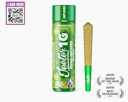 JEETER ICED MATCHA 1G INFUSED PREROLL