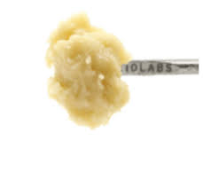 710 LABS | MANGO BANANA #9 LIVE ROSIN BADDER