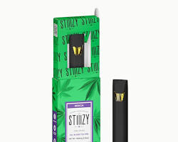 STIIIZY HARDCORE OG 1G DISPOSABLE