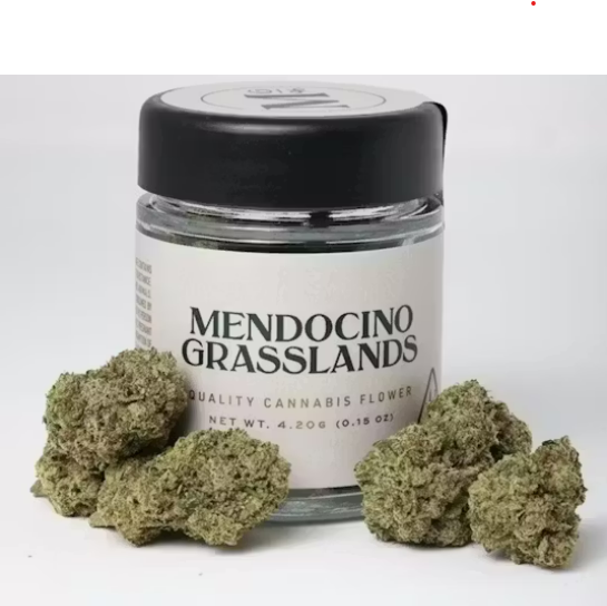 Oreoz X Mule Fuel Jar 4.2g   4.2 G