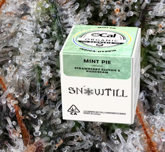 Mint Pie 3.5 G