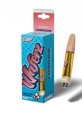 Candyland Cartridge 1 G