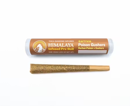 Poison Gushers Infused Pre Roll 1g   1 G