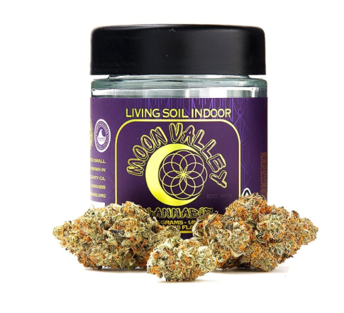 Hash Burger Indoor Living Soil Flower 3.5 G