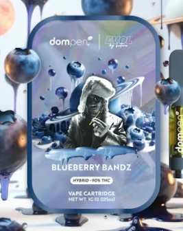 Blueberry Bandz Cartridge 1 G