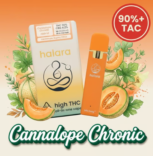 Cannalope Chronic Disposable 1 G