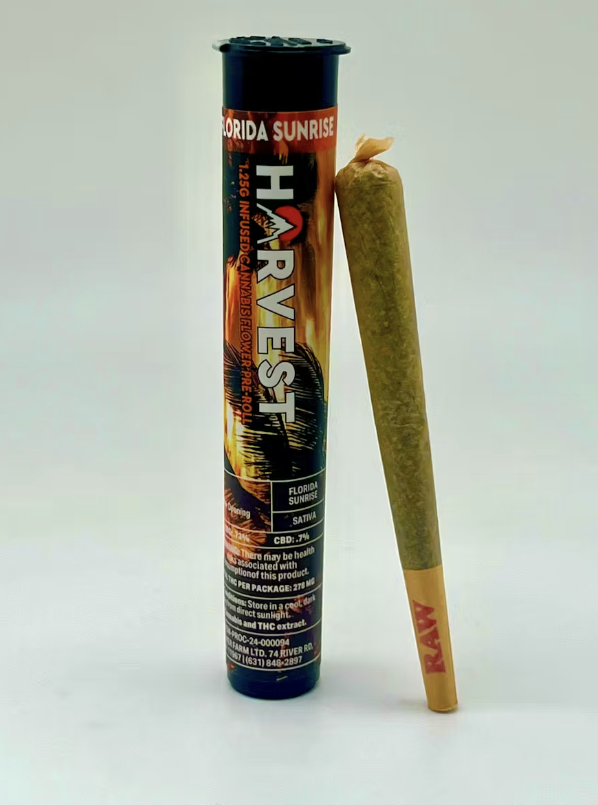 Florida Sunrise - 1.25 g