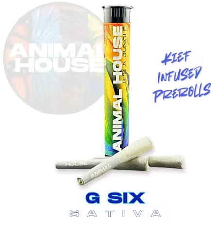 G6 - 1.5 g - 3 Pack